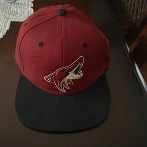Zephyr mens cap